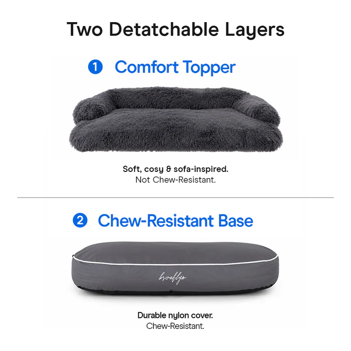 Why a Chew Proof Dog Bed Is the Smartest Investment for Pet Owners